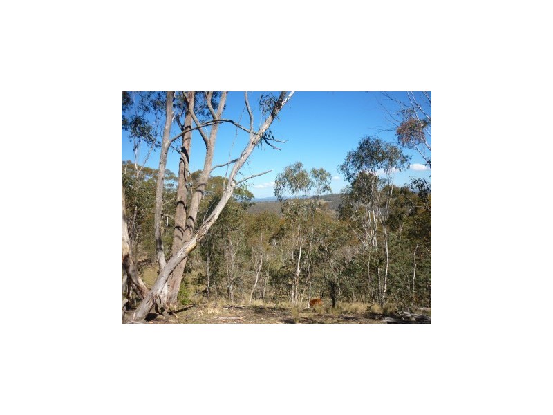 Lot 86 Undoo Fire Trail, Countegany NSW 2630