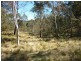 Lot 86 Undoo Fire Trail, Countegany NSW 2630