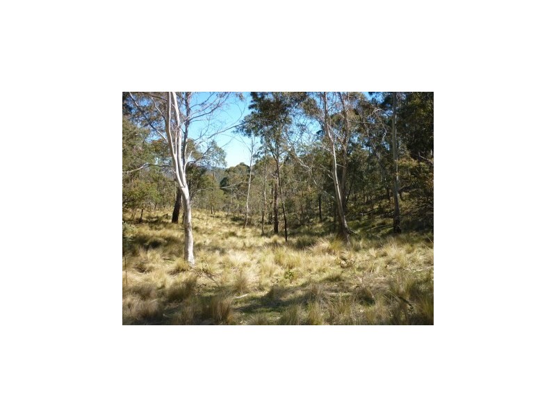 Lot 86 Undoo Fire Trail, Countegany NSW 2630