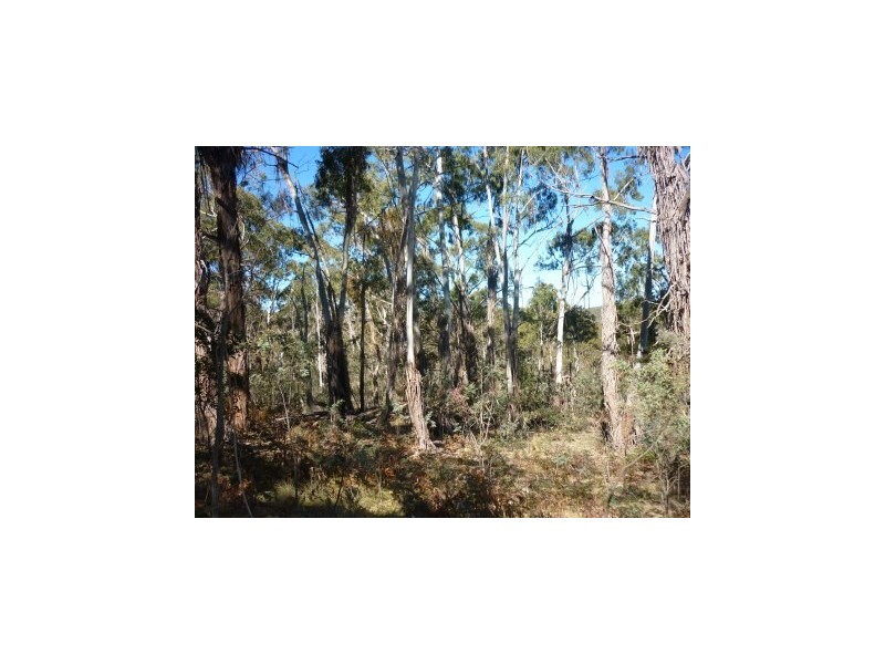 Lot 86 Undoo Fire Trail, Countegany NSW 2630