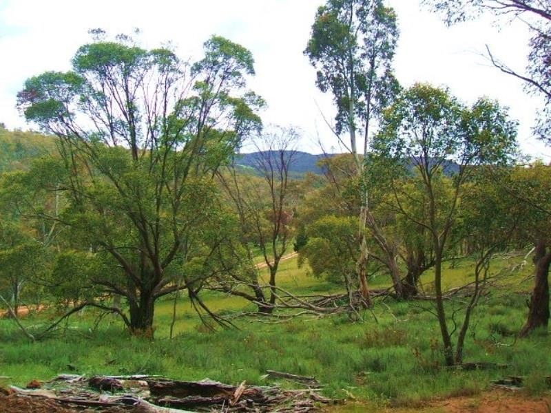 Lot 1 Nimmo Bridge, Eucumbene NSW 2628