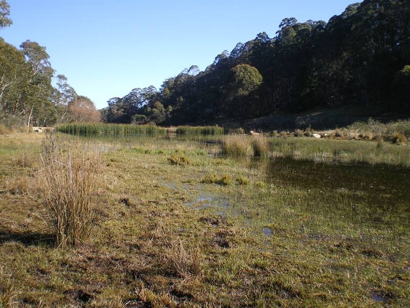 1180 Steeple Flat Road, Nimmitabel NSW 2631