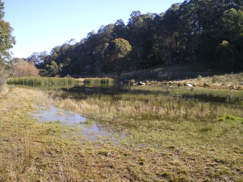 1180 Steeple Flat Road, Nimmitabel NSW 2631