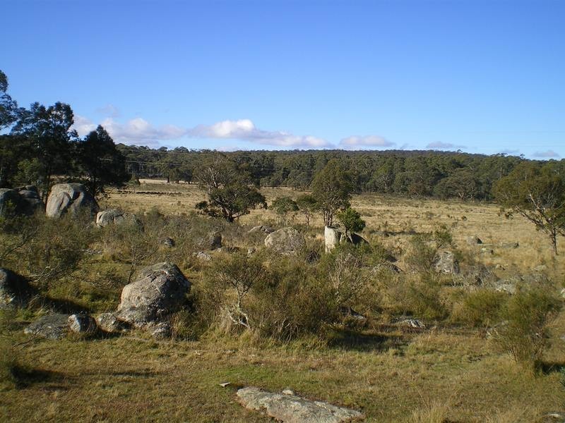 1180 Steeple Flat Road, Nimmitabel NSW 2631