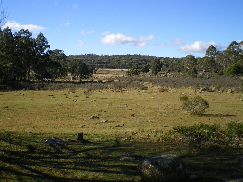 1180 Steeple Flat Road, Nimmitabel NSW 2631