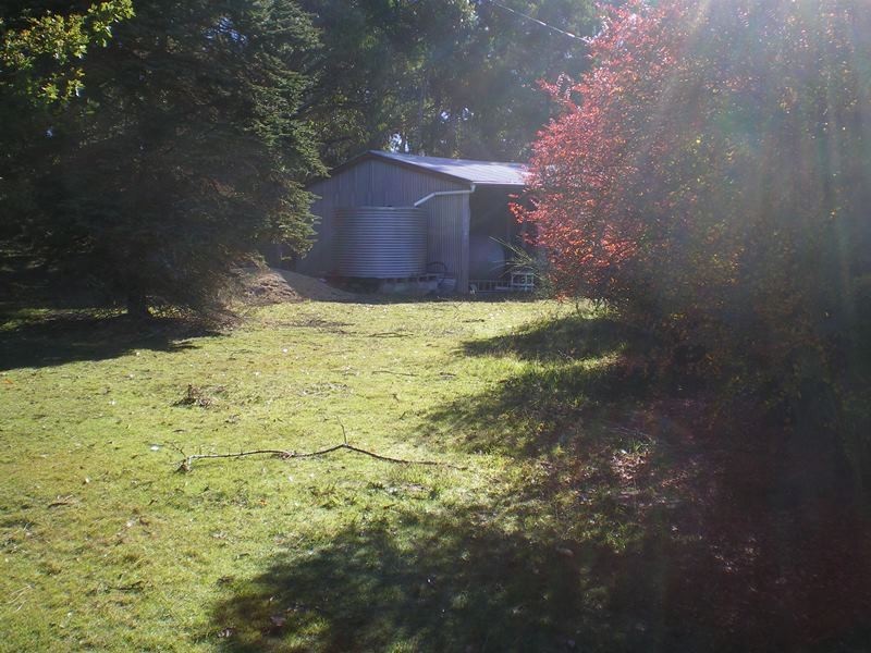 1180 Steeple Flat Road, Nimmitabel NSW 2631