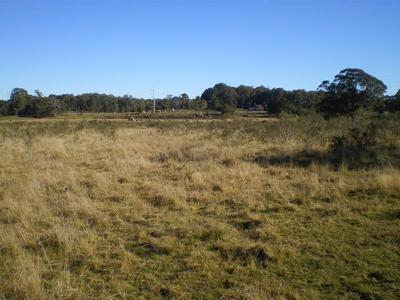 1180 Steeple Flat Road, Nimmitabel NSW 2631