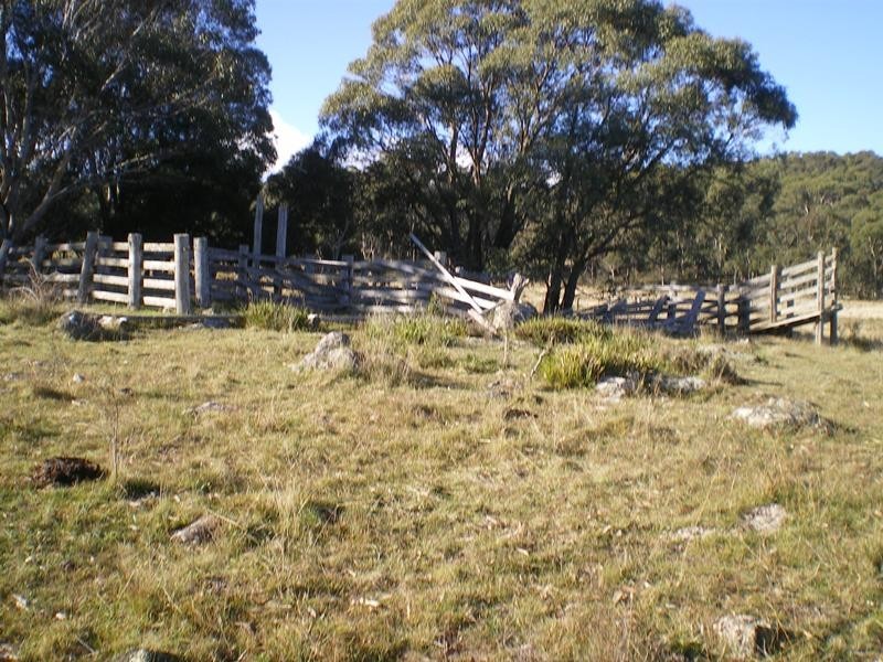 1180 Steeple Flat Road, Nimmitabel NSW 2631