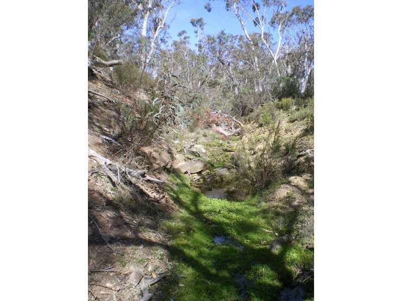 Lot 5 Peak View Road, Numeralla NSW 2630