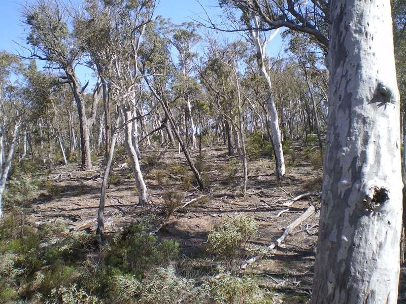 Lot 5 Peak View Road, Numeralla NSW 2630