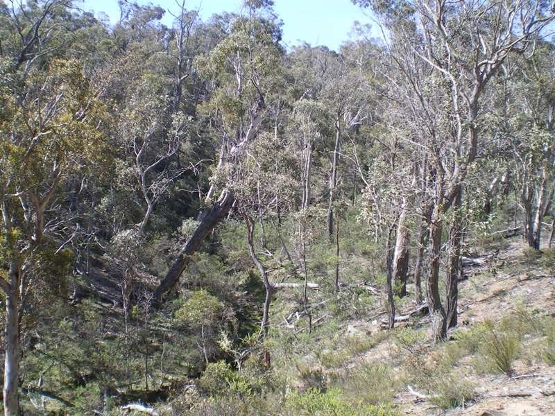 Lot 5 Peak View Road, Numeralla NSW 2630