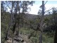 Lot 5 Peak View Road, Numeralla NSW 2630
