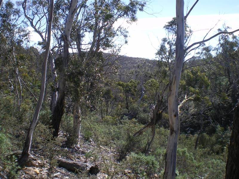 Lot 5 Peak View Road, Numeralla NSW 2630