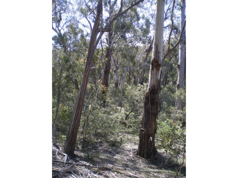 Lot 5 Peak View Road, Numeralla NSW 2630