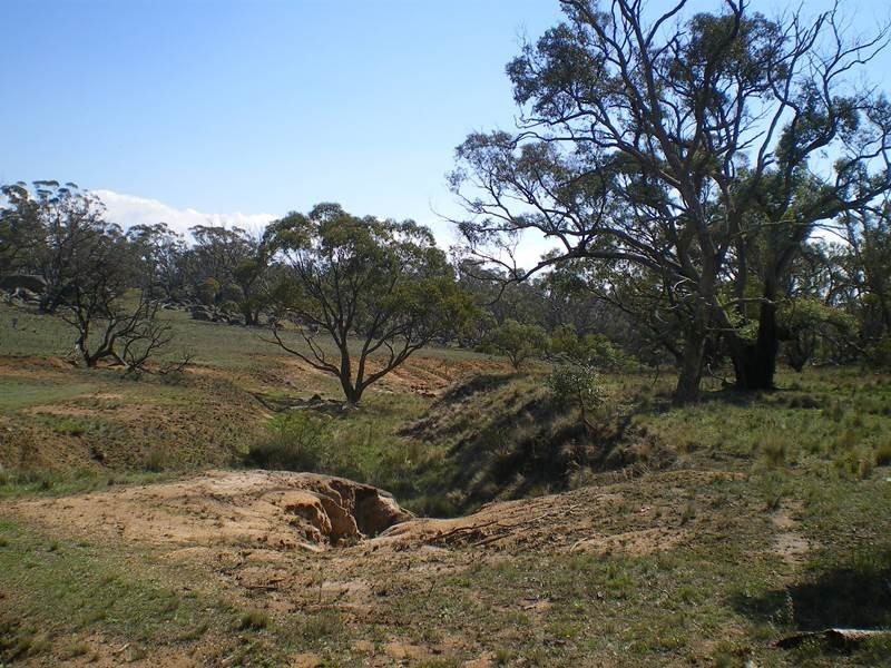 Lot 290 Snowy River Way, Bobundara NSW 2630