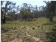 Lot 290 Snowy River Way, Bobundara NSW 2630