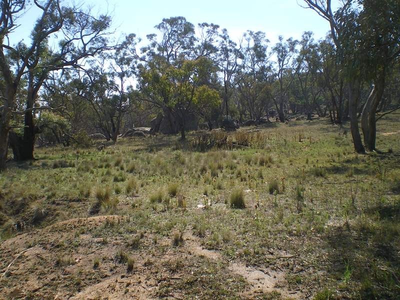 Lot 290 Snowy River Way, Bobundara NSW 2630