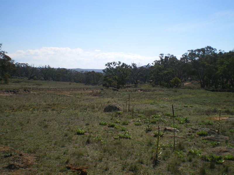 Lot 290 Snowy River Way, Bobundara NSW 2630