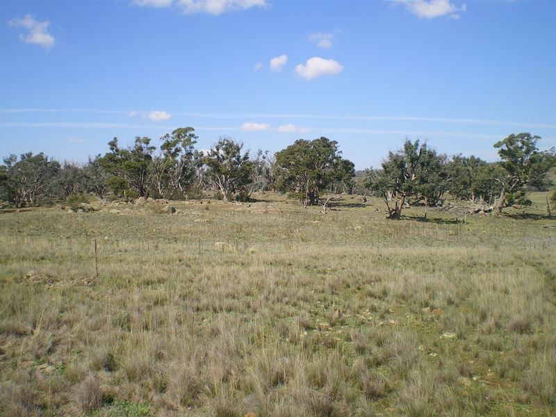 Lot 290 Snowy River Way, Bobundara NSW 2630