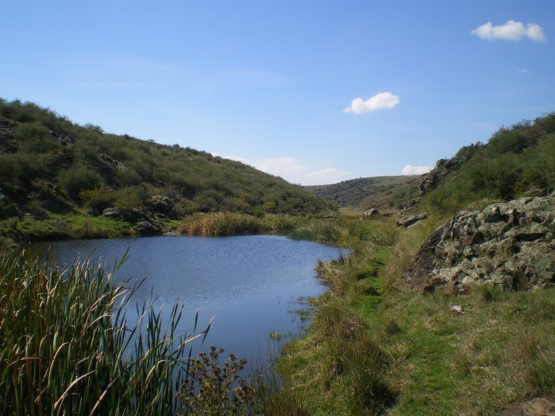 Lot 290 Snowy River Way, Bobundara NSW 2630