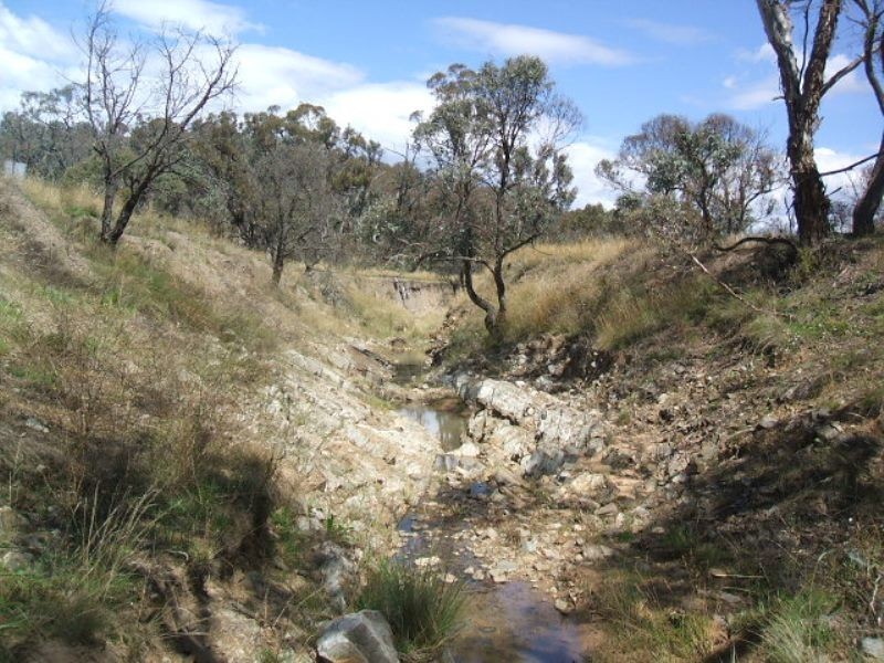 Lots 91 & 92 Matong Road, Dalgety NSW 2628