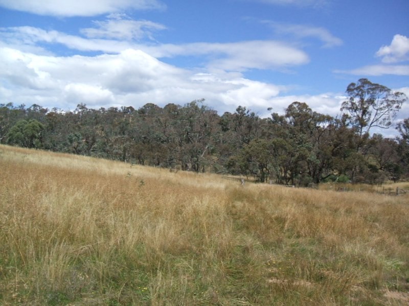 Lots 91 & 92 Matong Road, Dalgety NSW 2628