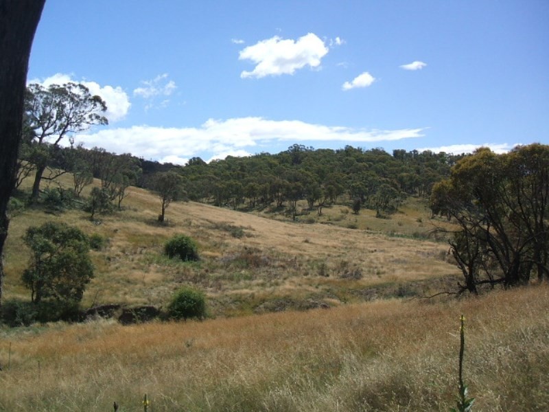 Lots 91 & 92 Matong Road, Dalgety NSW 2628