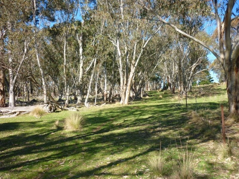 Lot 32 Slap Up Road, Jerangle NSW 2630