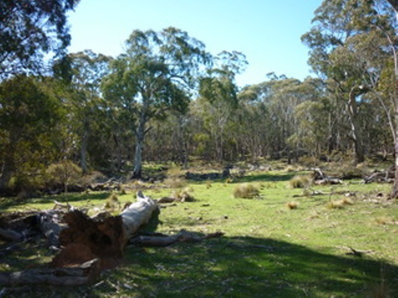 Lot 32 Slap Up Road, Jerangle NSW 2630
