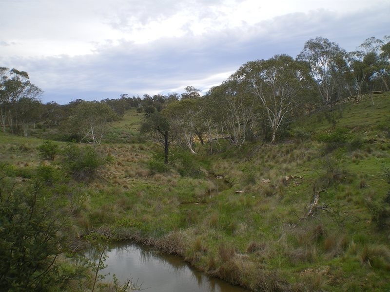 151 Beresford Road, Numeralla NSW 2630