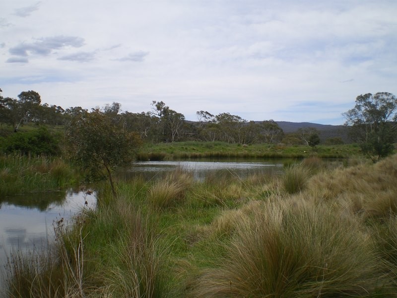 151 Beresford Road, Numeralla NSW 2630