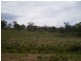 151 Beresford Road, Numeralla NSW 2630