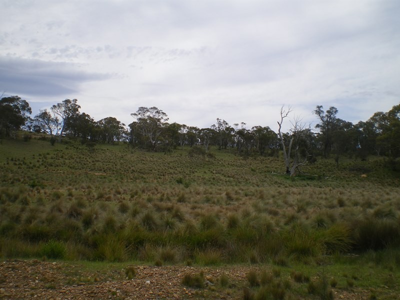 151 Beresford Road, Numeralla NSW 2630