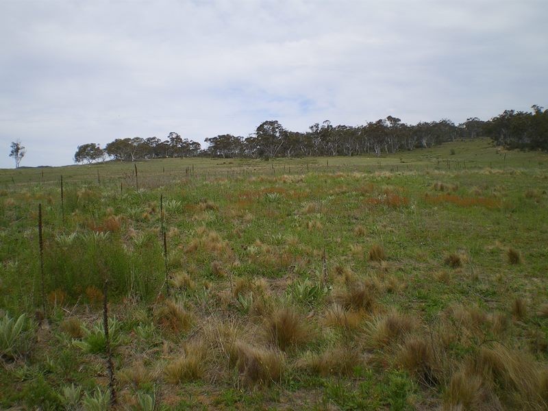 151 Beresford Road, Numeralla NSW 2630