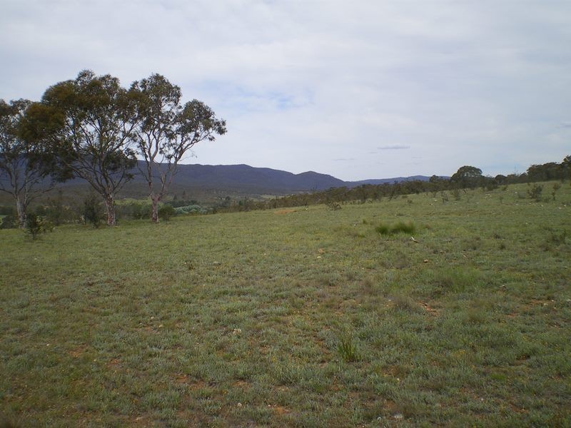 151 Beresford Road, Numeralla NSW 2630