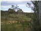 151 Beresford Road, Numeralla NSW 2630