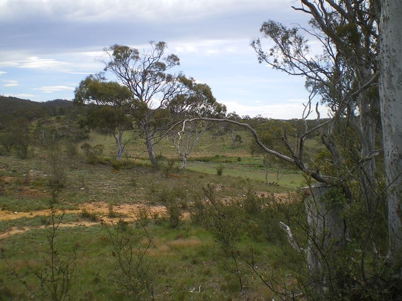 151 Beresford Road, Numeralla NSW 2630