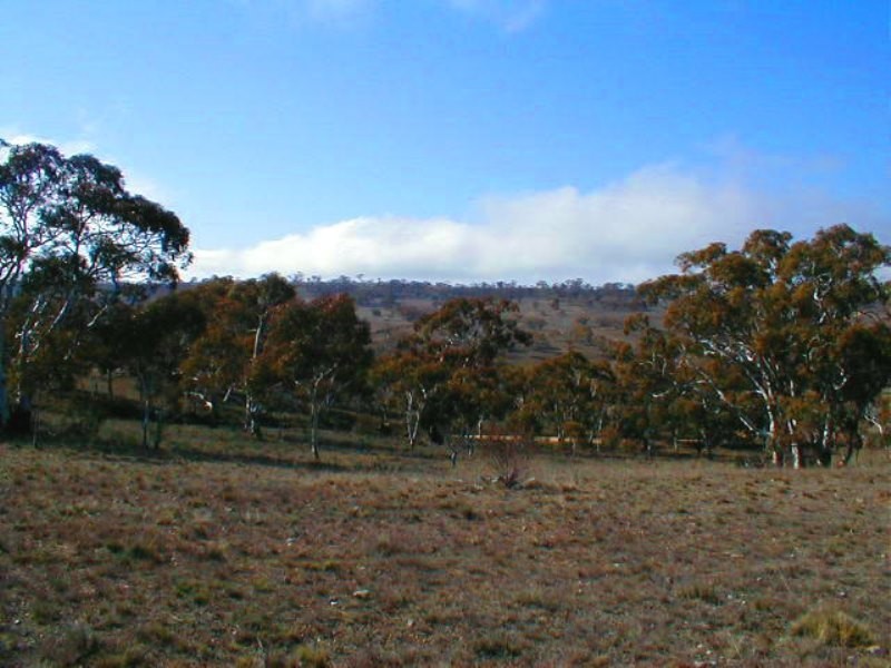 Lot 5 Dry Plains Road, Cooma NSW 2630