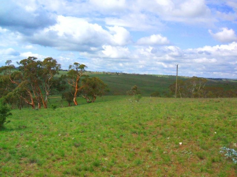 Lot 5 Dry Plains Road, Cooma NSW 2630