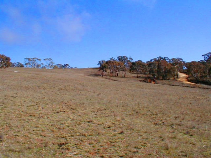 Lot 5 Dry Plains Road, Cooma NSW 2630 Floorplan