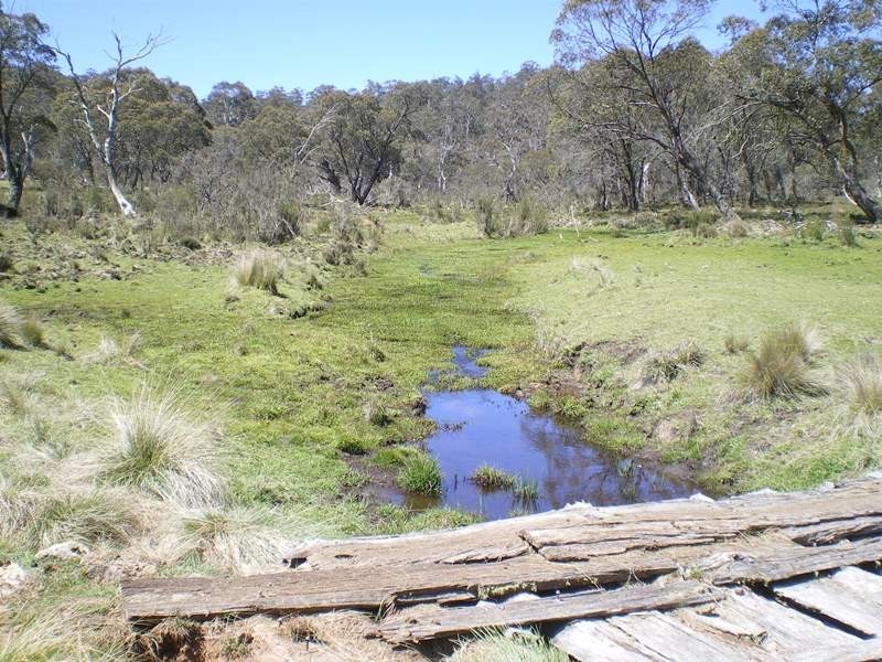 Lot 94 Kydra Lane, Kybeyan NSW 2631