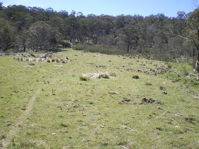 Lot 94 Kydra Lane, Kybeyan NSW 2631