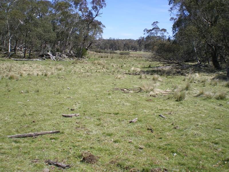 Lot 94 Kydra Lane, Kybeyan NSW 2631