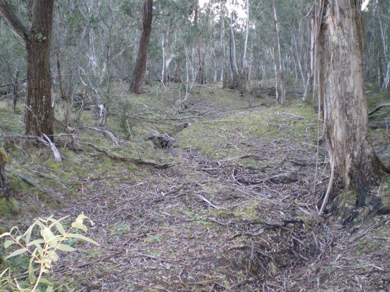 Lot 94 Kydra Lane, Kybeyan NSW 2631