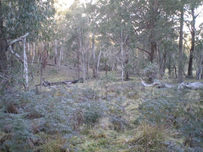 Lot 94 Kydra Lane, Kybeyan NSW 2631