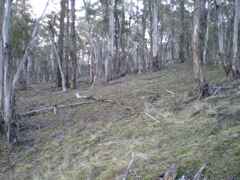 Lot 94 Kydra Lane, Kybeyan NSW 2631