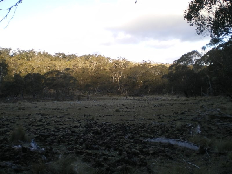 Lot 94 Kydra Lane, Kybeyan NSW 2631