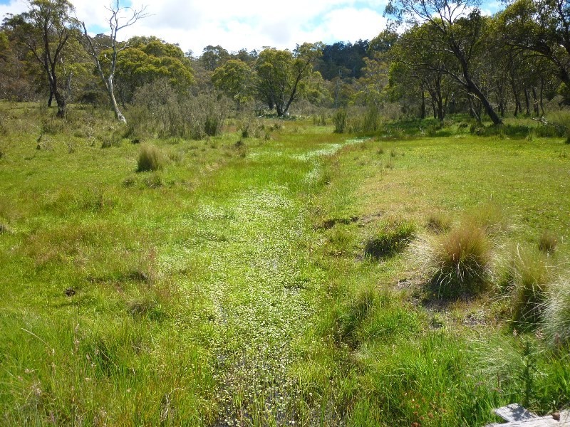 Lot 94 Kydra Lane, Kybeyan NSW 2631