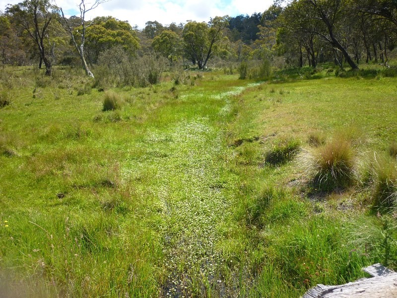 Lot 94 Kydra Lane, Kybeyan NSW 2631