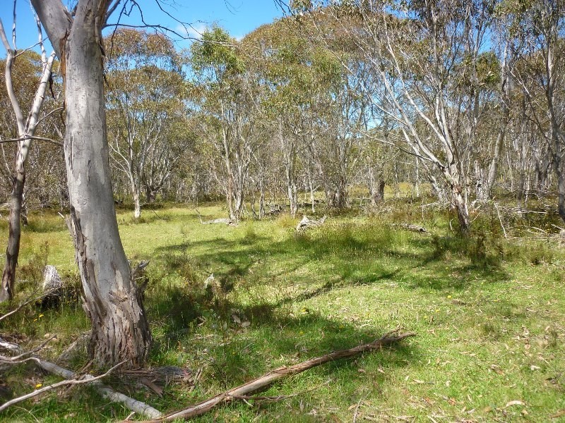 Lot 94 Kydra Lane, Kybeyan NSW 2631